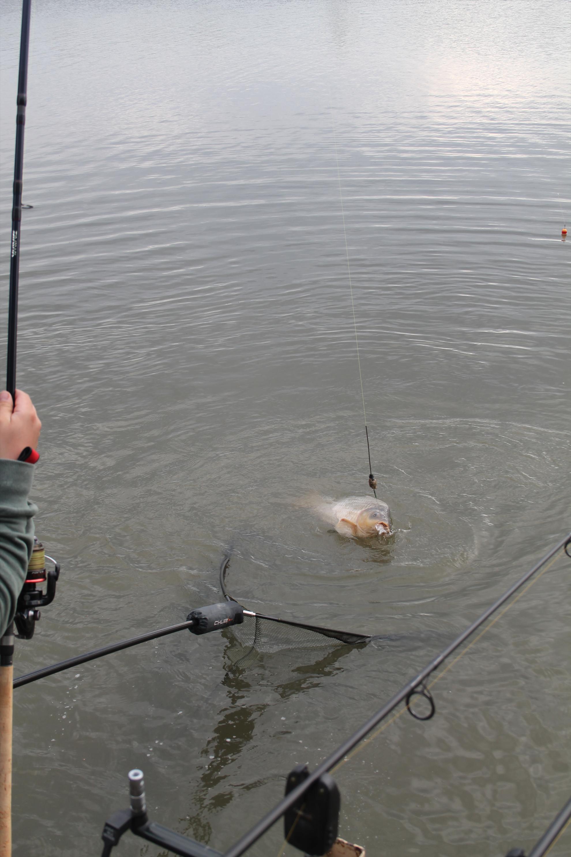 Nagykallo 2013 FedeerTeamUnique - nagykallo-aprilie2013-602.JPG